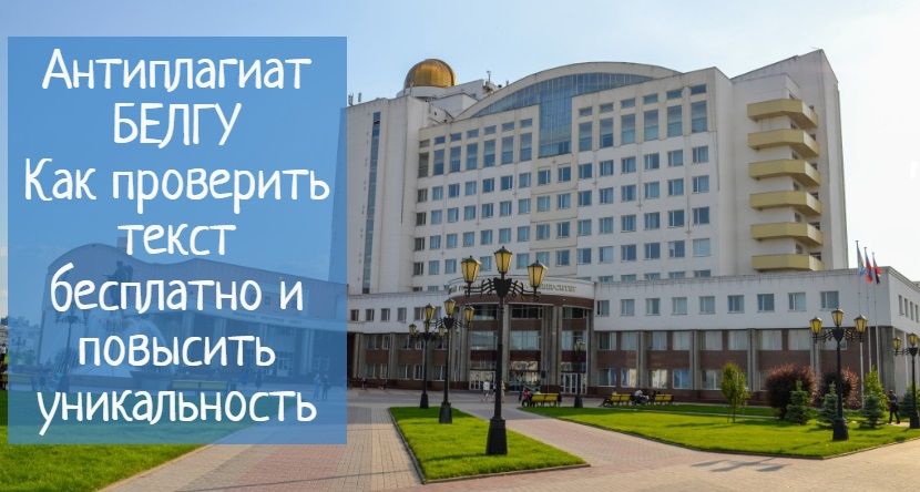Антиплагиат белгу: проверить и повысить уникальность
