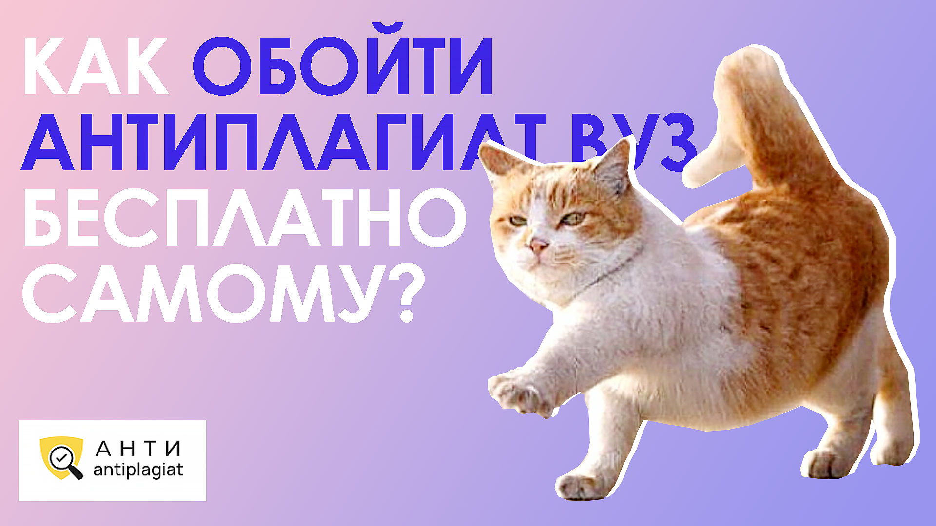 Как самостоятельно пройти проверку Антиплагиат ВУЗ –бесплатные методы