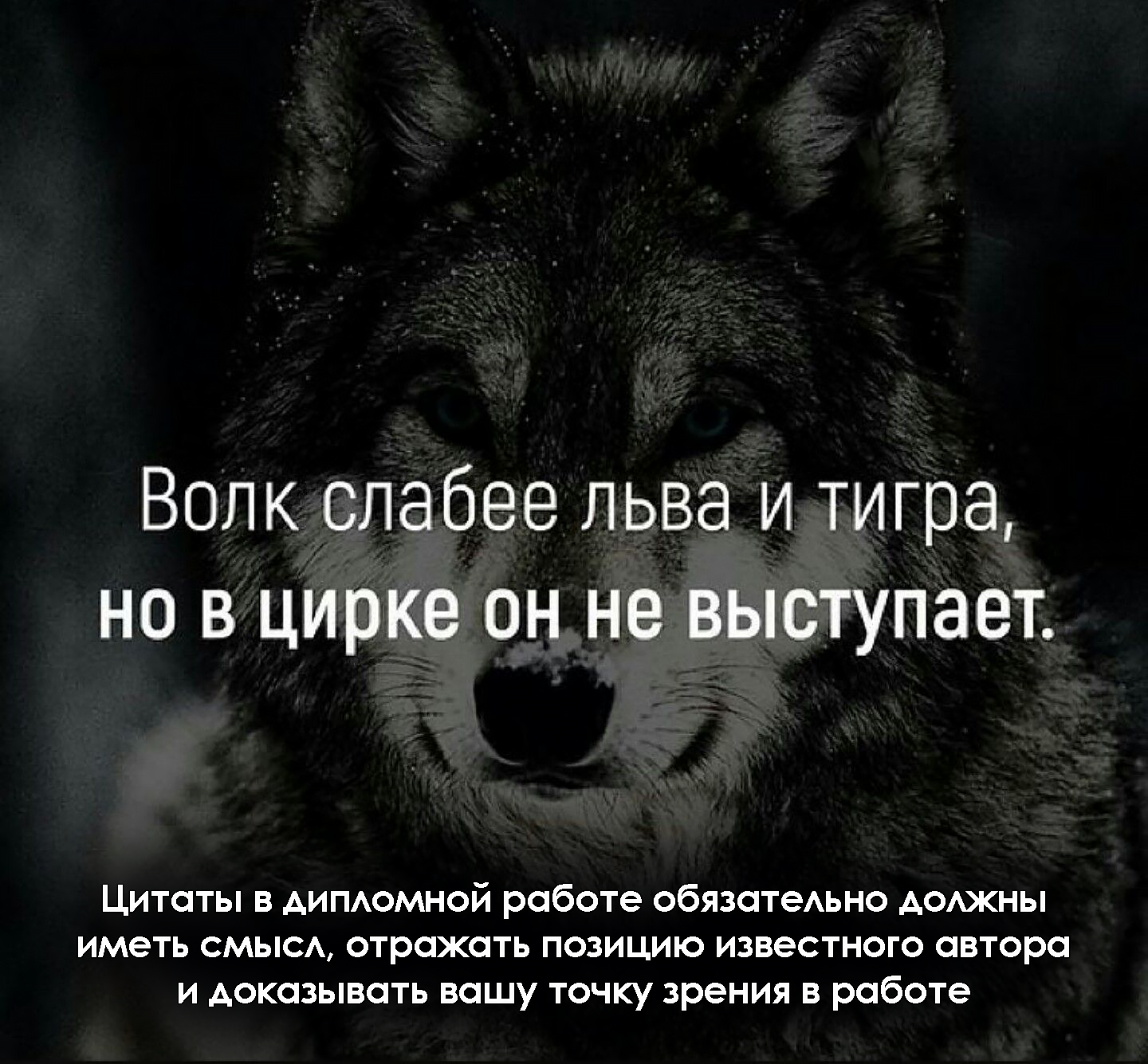 Что такое цитаты в дипломной работе