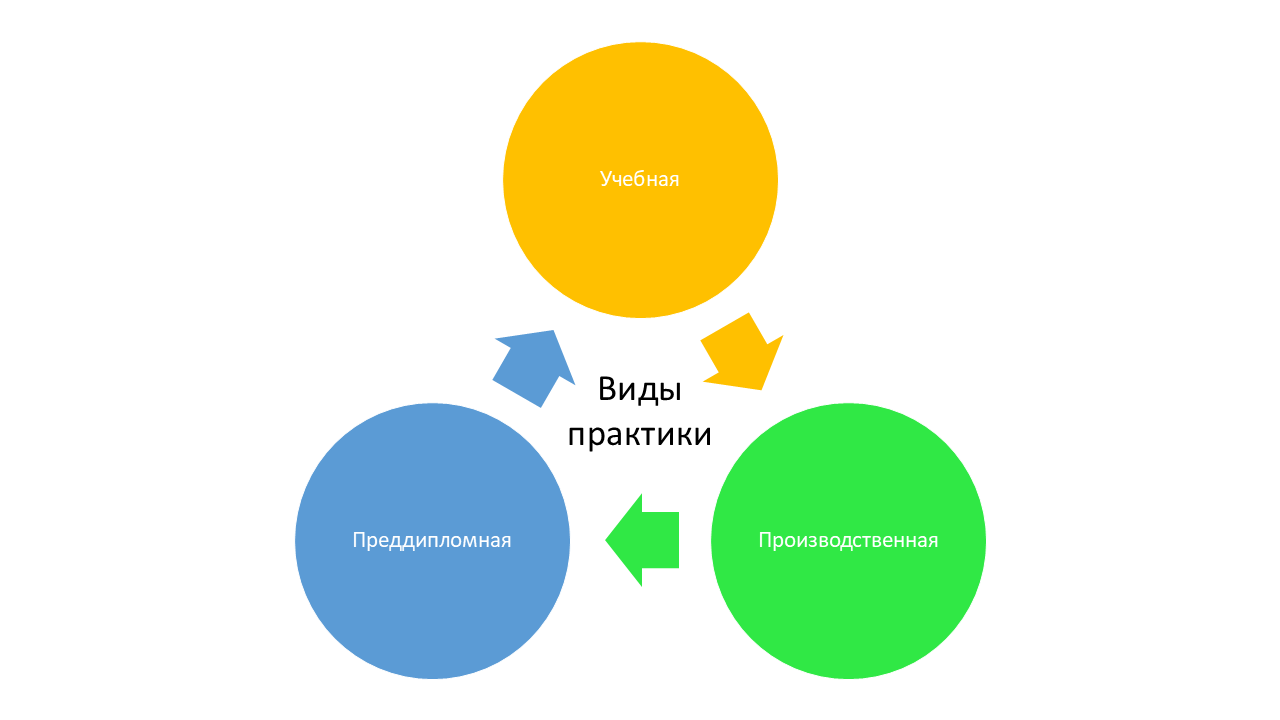 виды отчетов по практике