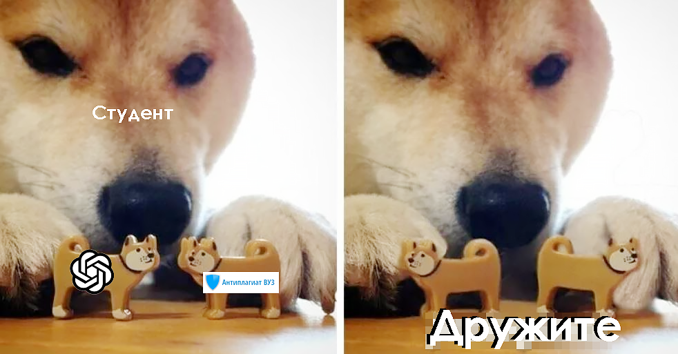 мем собака дружите