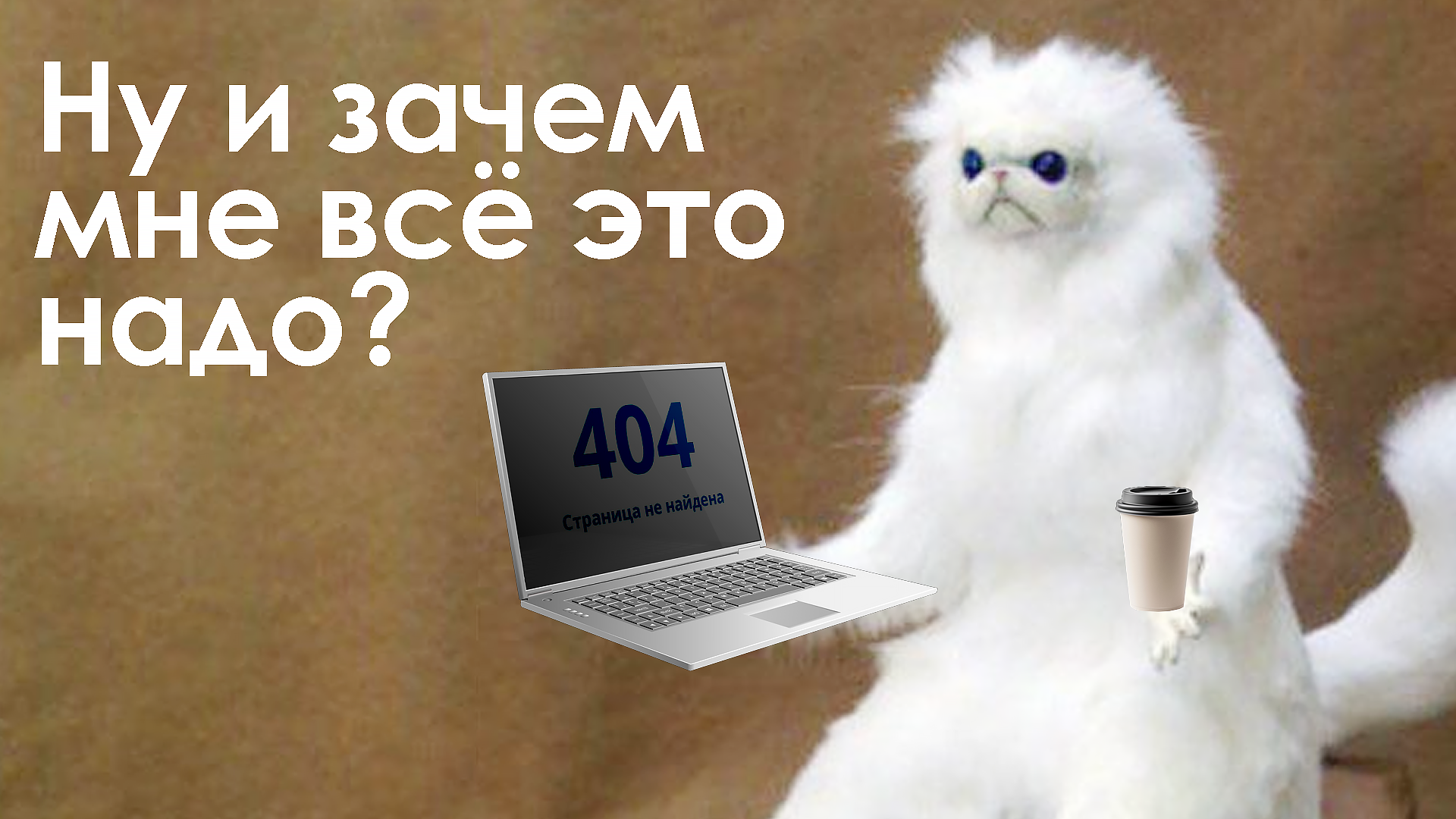мем почему