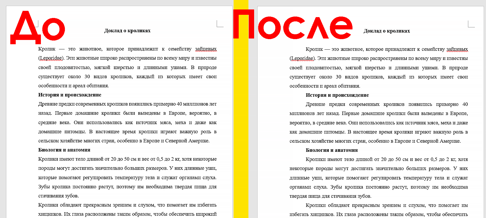 доклад о кроликах