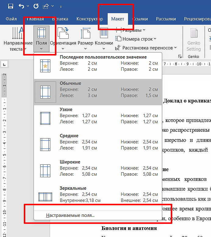 как оформить поля в дипломе