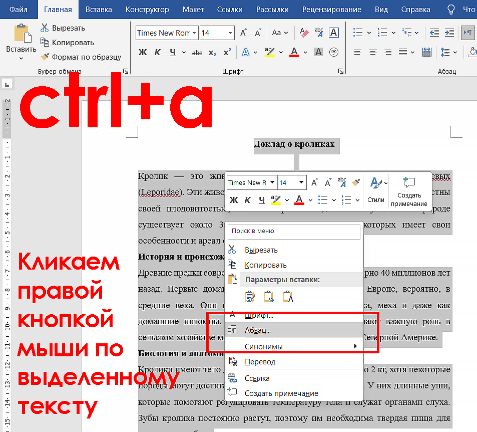 как сделать абзацы в дипломе