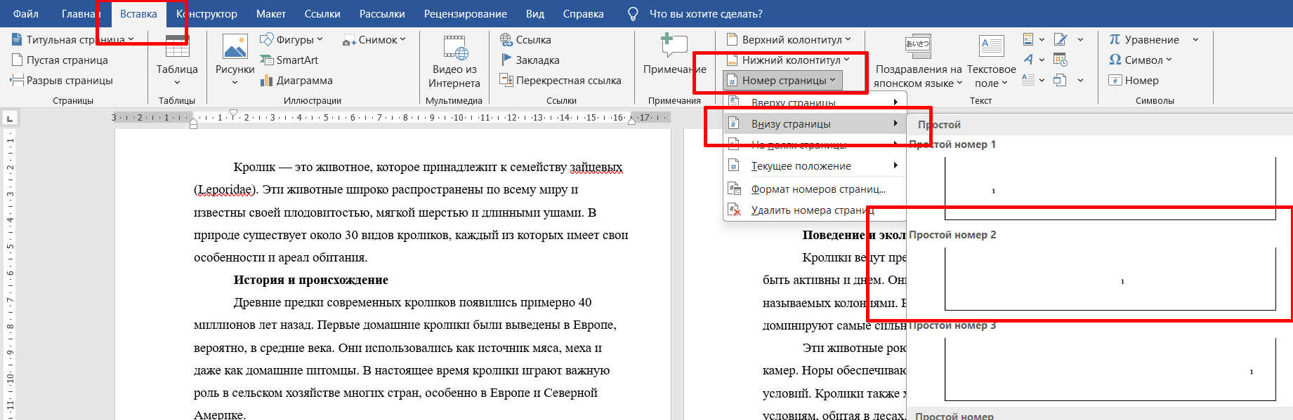 как сделать нумерацию страниц в ворде
