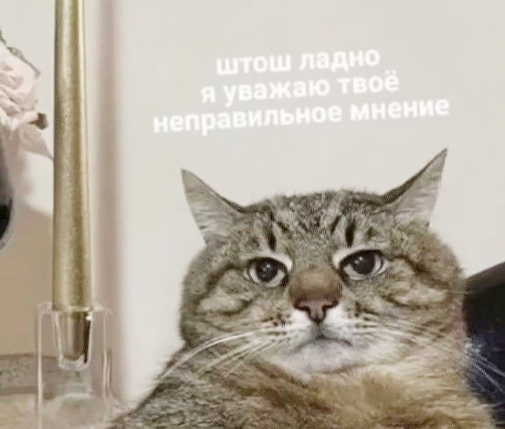 я уважаю твоё неправильное мнение