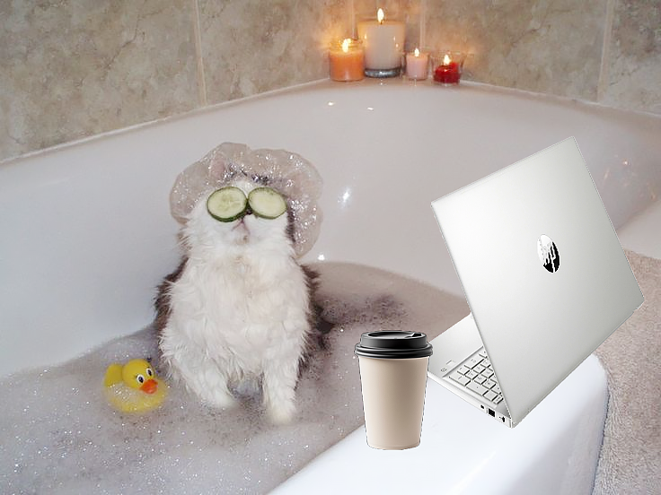 кот в ванной